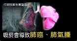 Taiwan 2007 Health Effects Lung - lung cancer and emphysema, healthy and diseased lung contrast
